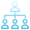 Adapting to complex organizational collaboration