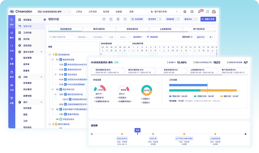 Project execution phase
